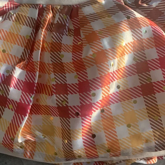 Baby Starters - Rashti & Rashti - Thanksgiving Dress with attached onesie - 9 M - Picture 6 of 16